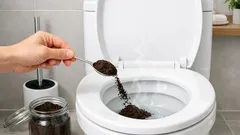 Kaffeesatz im WC: hilft das wirklich gegen Geruch und Ränder?